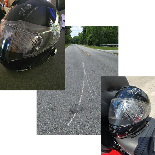 Glide vs Two Rottweilers - Jim